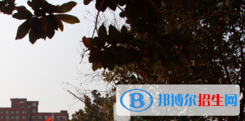 德保職業(yè)技術(shù)學(xué)校2020年招生簡章