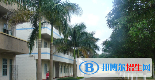 合浦石康職業(yè)技術(shù)學(xué)校2020年有哪些專業(yè) 