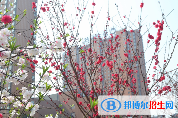 安徽桐城高級技工學(xué)校地址在哪里