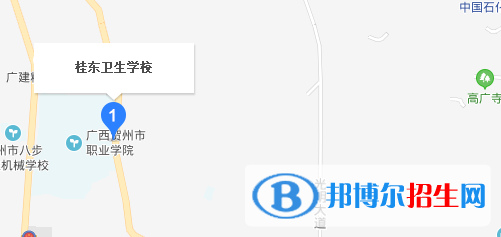 桂東衛(wèi)生學(xué)校地址在哪里