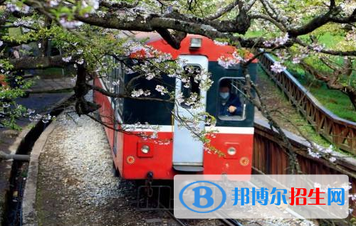六盤水2020年鐵路學校哪個專業(yè)最好