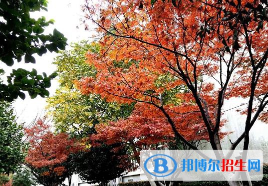 建德千島交通職業(yè)學(xué)校怎么樣、好不好