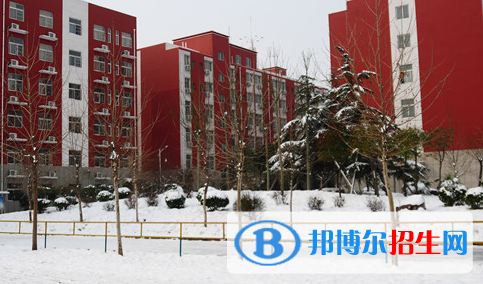 洛陽華洋國(guó)際學(xué)校怎么樣、好不好