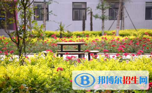 河南師大附中雙語(yǔ)國(guó)際學(xué)校2020年報(bào)名條件、招生要求、招生對(duì)象