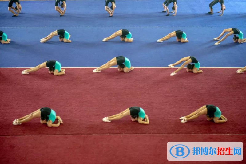 濮陽(yáng)雜技藝術(shù)學(xué)校2021年招生計(jì)劃