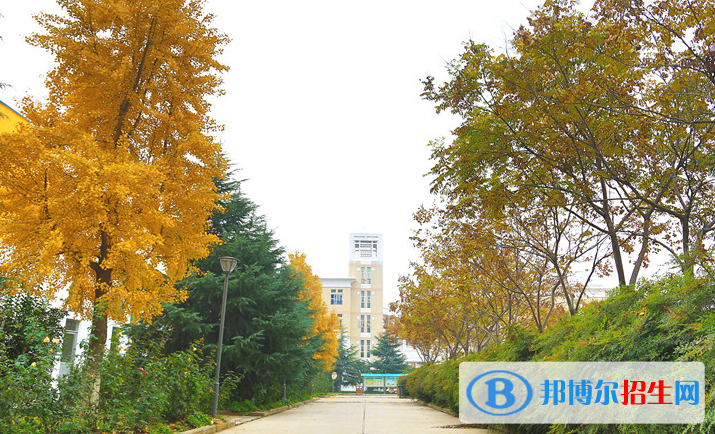 鄭州鄭中國際學(xué)校2020年學(xué)費(fèi)、收費(fèi)多少