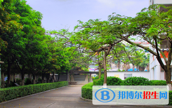 湛江湛港職業(yè)技術(shù)學(xué)校2020年報(bào)名條件、招生要求、招生對象