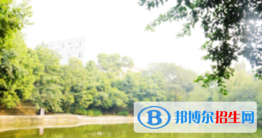 崇左八桂城市中等職業(yè)技術學校網(wǎng)站網(wǎng)址 