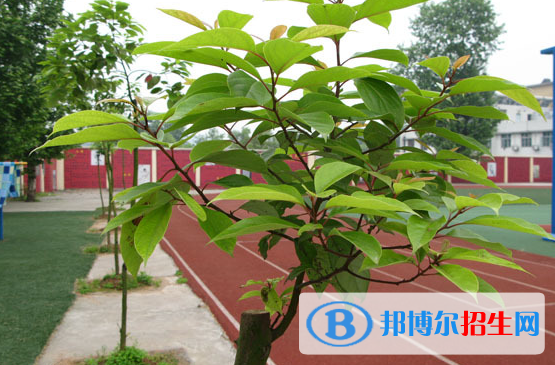 天問國(guó)際高中校長(zhǎng)2020年報(bào)名條件、招生要求、招生對(duì)象