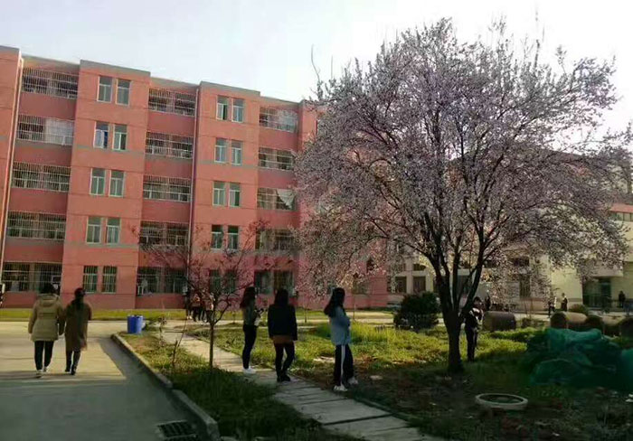 南京交通科技學(xué)校怎么樣、好不好
