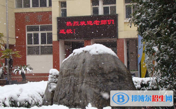 合肥世界外國(guó)語(yǔ)學(xué)校2020年學(xué)費(fèi)、收費(fèi)多少