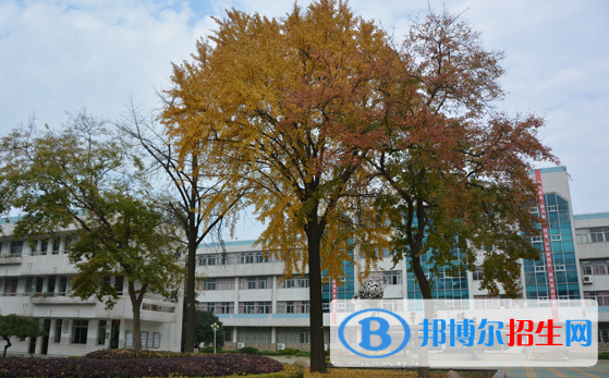 江蘇前黃高級中學國際分校網站網址