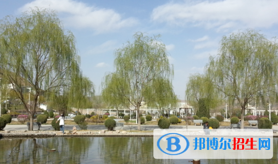 定西師范高等?？茖W(xué)校單招2020年單獨招生錄取分數(shù)線