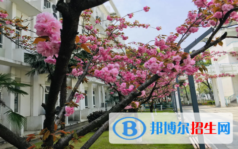南京師范大學(xué)附屬實(shí)驗(yàn)學(xué)校國際部2020年招生計劃