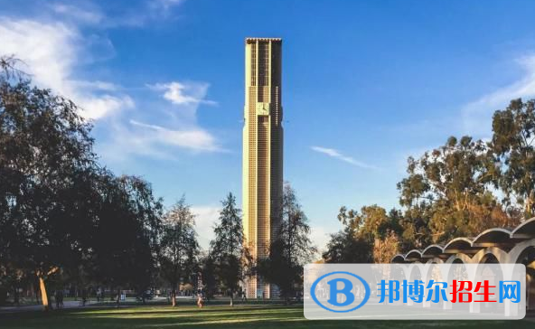 上海金蘋果雙語學(xué)校國際部2023年招生計劃