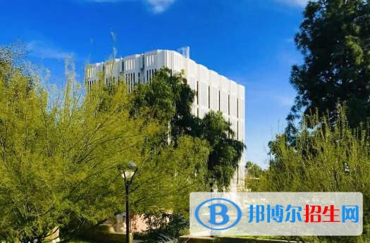 上海金蘋果雙語(yǔ)學(xué)校國(guó)際部2023年報(bào)名條件、招生要求、招生對(duì)象