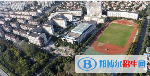 上海金蘋果雙語學校國際部怎么樣、好不好