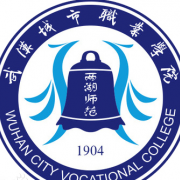武漢城市職業(yè)學(xué)院單招