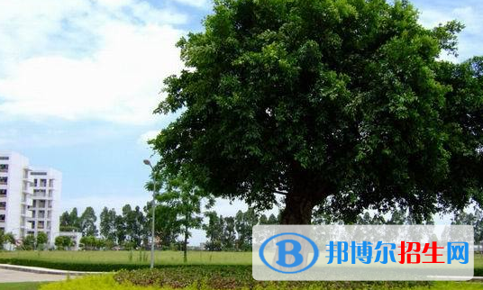 廣東女子職業(yè)技術學院怎么樣、好不好