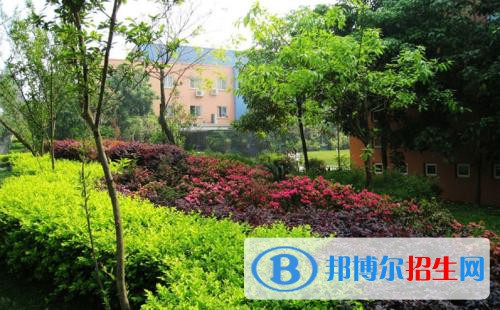 四川長(zhǎng)江職業(yè)學(xué)院怎么樣、好不好