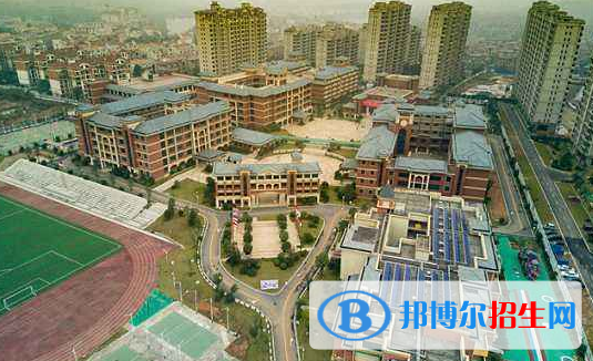 廣東碧桂園(IB國際)學(xué)校怎么樣、好不好