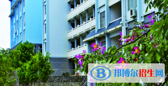 廣西經(jīng)濟職業(yè)學院2020年招生簡章