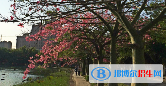 廣西經(jīng)濟職業(yè)學(xué)院2020年報名條件、招生要求、招生對象