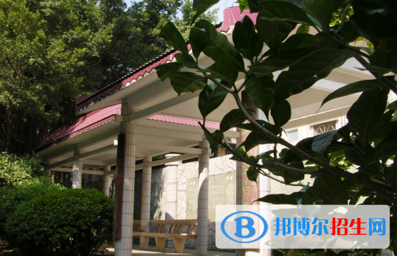 深圳石巖公學(xué)國際部高中網(wǎng)站網(wǎng)址