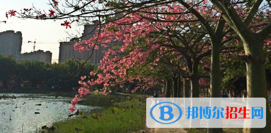 廣西經(jīng)濟(jì)職業(yè)學(xué)院五年制大專怎么樣、好不好