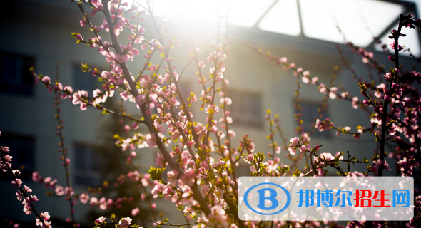 慶陽職業(yè)技術(shù)學(xué)院2020年報(bào)名條件、招生要求、招生對(duì)象
