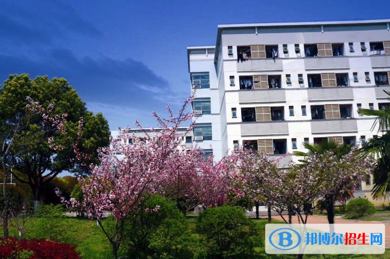 昆山登云科技職業(yè)學(xué)院單招2020年單獨招生有哪些專業(yè)