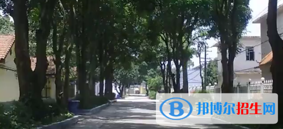 廣西衛(wèi)生職業(yè)技術(shù)學(xué)院2020年報(bào)名條件、招生要求、招生對(duì)象