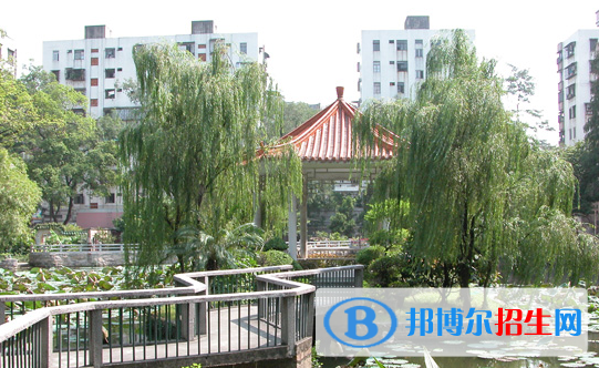 廣雅中學博雅國際班2020年招生計劃