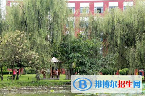 四川托普信息技術(shù)職業(yè)學(xué)院2020年報(bào)名條件、招生要求、招生對(duì)象