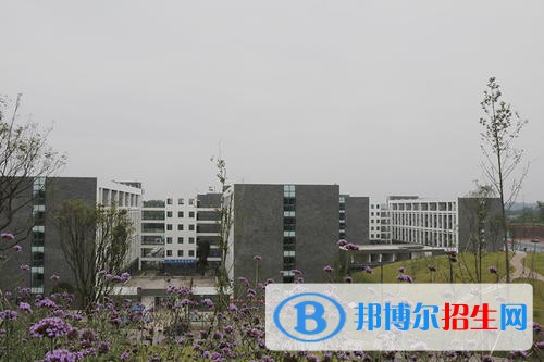 四川衛(wèi)生康復職業(yè)學院怎么樣、好不好