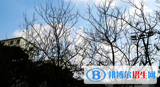 廣西輕工技師學(xué)院怎么樣、好不好