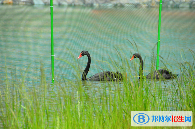 浙江東方職業(yè)技術(shù)學(xué)院怎么樣、好不好