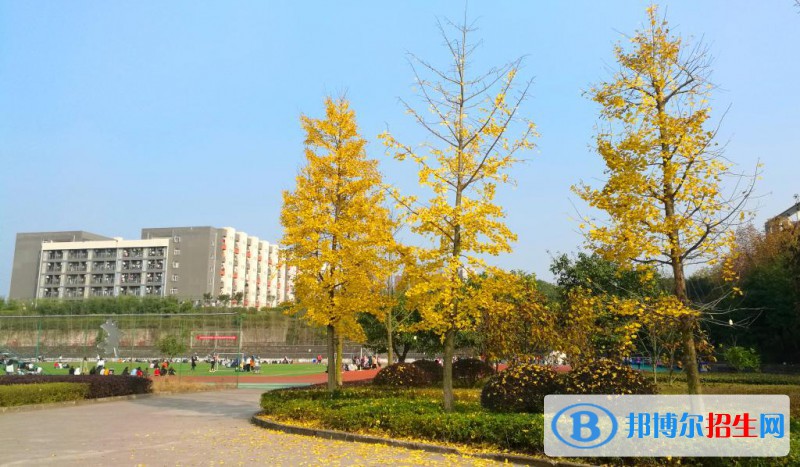 重慶醫(yī)藥高等專科學(xué)校怎么樣、好不好