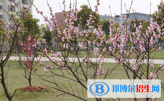 江西科技職業(yè)學(xué)院2020年報名條件、招生要求、招生對象