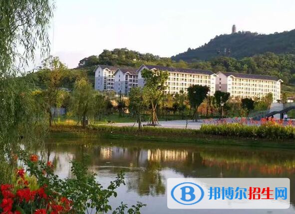 重慶化工職業(yè)學院網(wǎng)站網(wǎng)址
