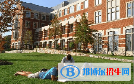 斯代文森國際學校(中國-上海)怎么樣、好不好
