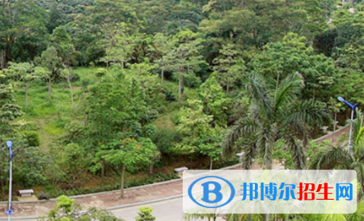 湛江理工職業(yè)學校2020年報名條件、招生要求、招生對象