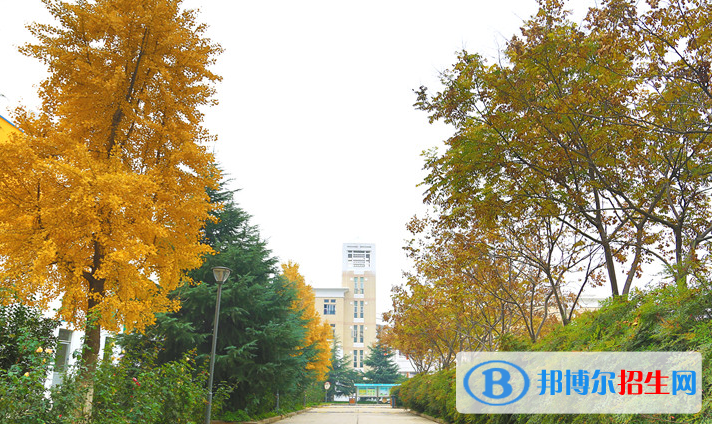 鄭州鄭中國際學(xué)校初中部2020年報名條件、招生要求、招生對象
