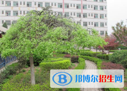 鳳翔縣彪角中學(xué)2020年招生代碼