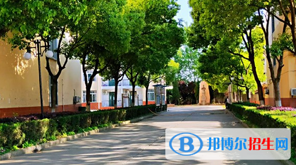合肥飛躍學(xué)校網(wǎng)站網(wǎng)址 