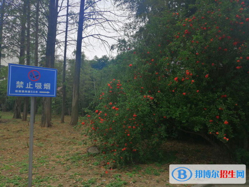 南京中博軟件學院學校環(huán)境怎么樣