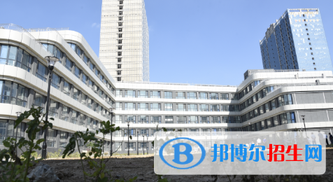 濰坊濱海國際學校初中部2020年學費、收費多少