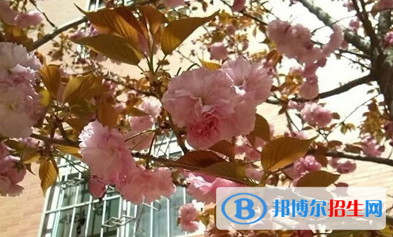  岐山高級中學(xué)2020年報名條件、招生對象以及招生要求