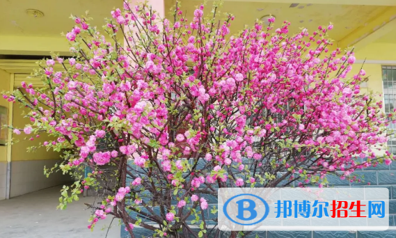 成縣化埡農(nóng)職業(yè)中學(xué)網(wǎng)站網(wǎng)址 