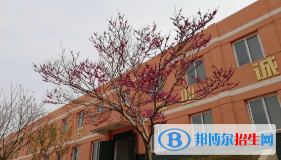 成縣化埡農(nóng)職業(yè)中學(xué)怎么樣、好不好